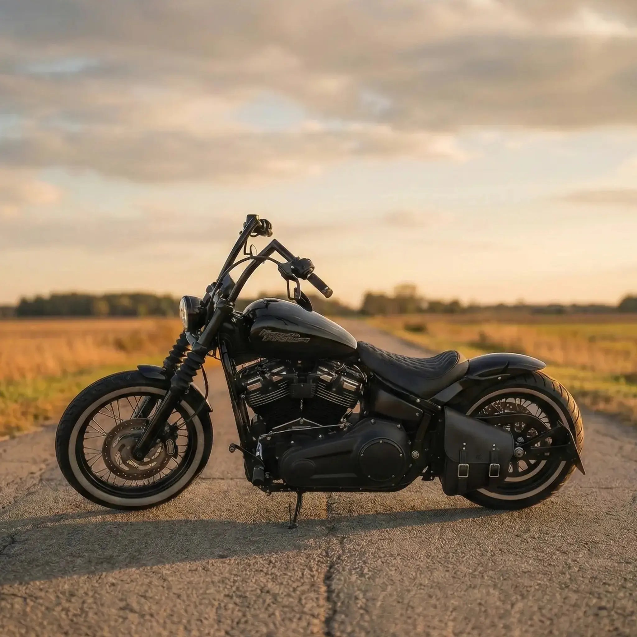 H-D® Pre-2017 Softail Left Side Solo Bag - SHL01